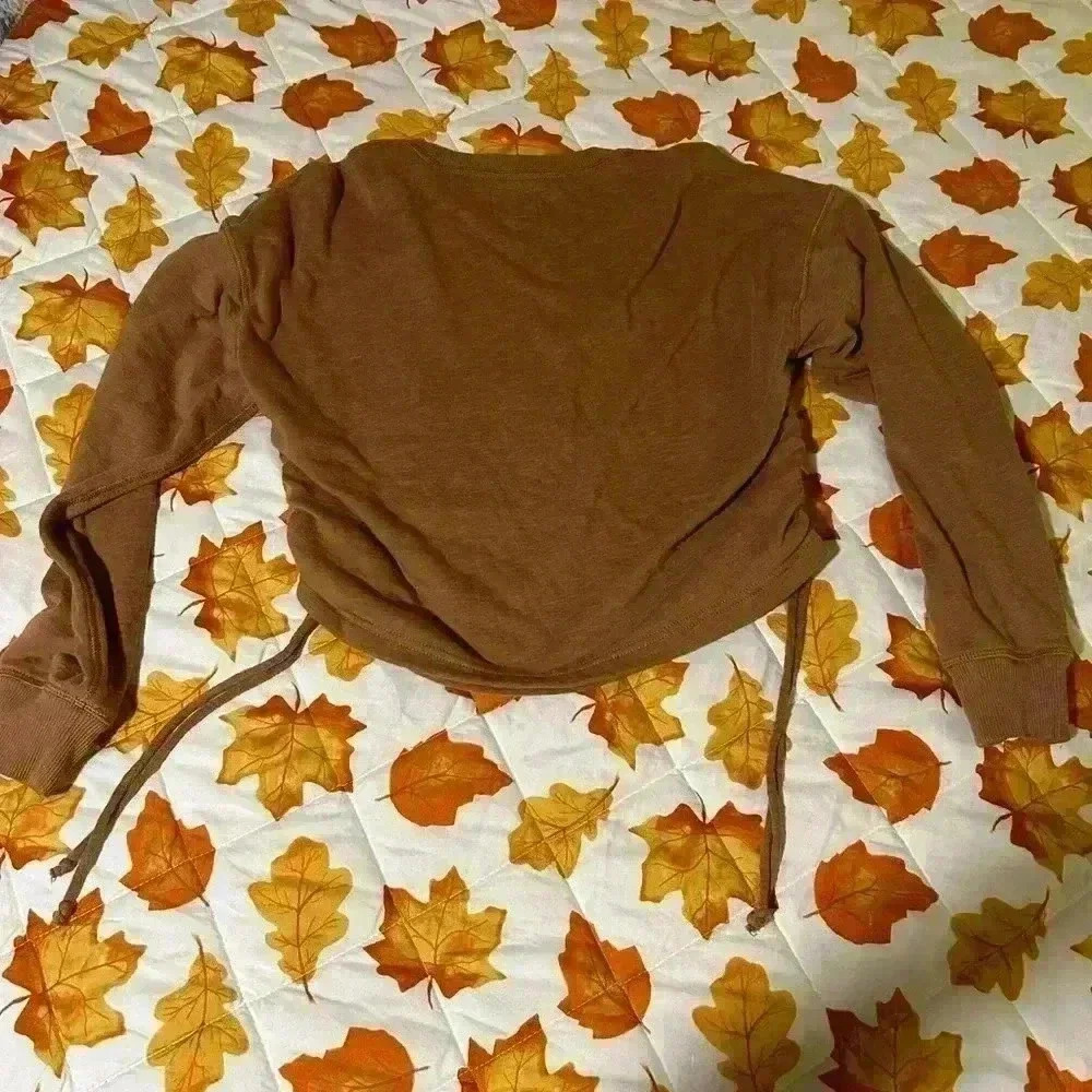 American Eagle crop sweat shirt. Brown. Size Medium.
